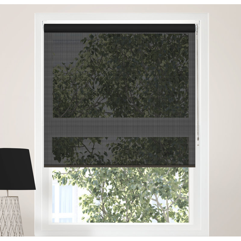 Red Barrel Studio® Continuous Loop Sheer Roller Shade & Reviews Wayfair